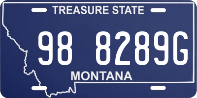 MT license plate 988289G