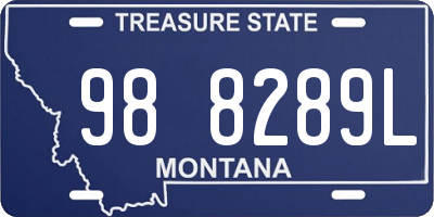 MT license plate 988289L