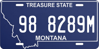 MT license plate 988289M