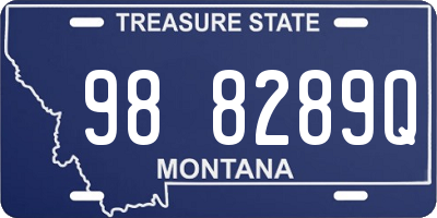 MT license plate 988289Q