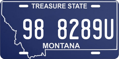 MT license plate 988289U