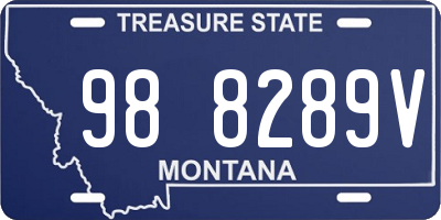 MT license plate 988289V