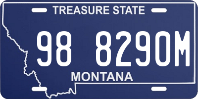 MT license plate 988290M