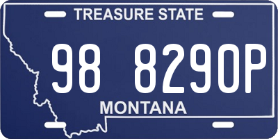 MT license plate 988290P