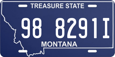 MT license plate 988291I