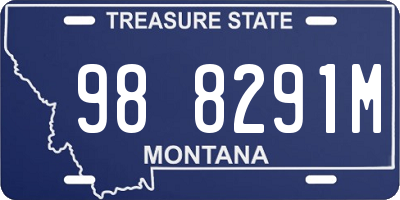 MT license plate 988291M