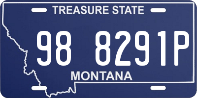 MT license plate 988291P