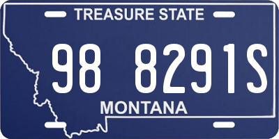 MT license plate 988291S