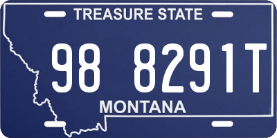 MT license plate 988291T