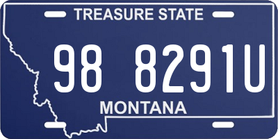 MT license plate 988291U