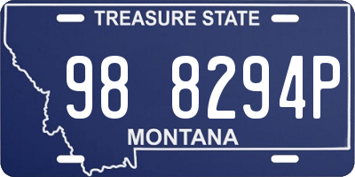 MT license plate 988294P