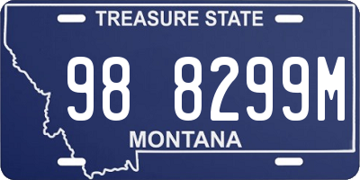 MT license plate 988299M