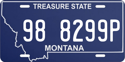 MT license plate 988299P