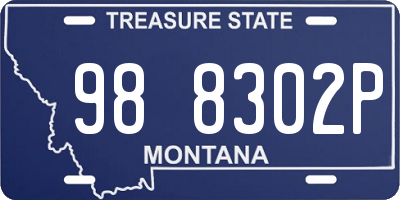 MT license plate 988302P