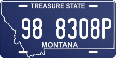 MT license plate 988308P