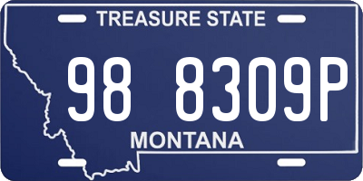 MT license plate 988309P