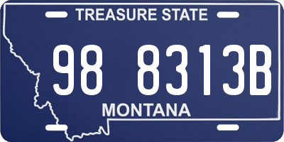 MT license plate 988313B