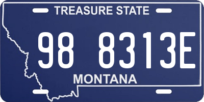 MT license plate 988313E
