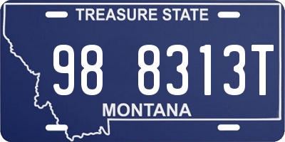 MT license plate 988313T
