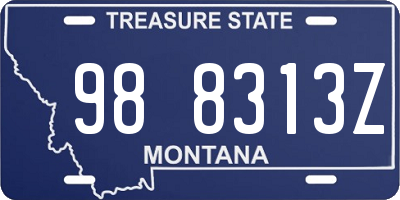 MT license plate 988313Z