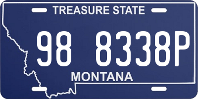 MT license plate 988338P