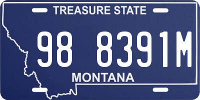 MT license plate 988391M