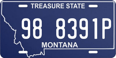 MT license plate 988391P