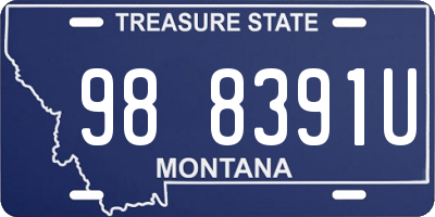MT license plate 988391U