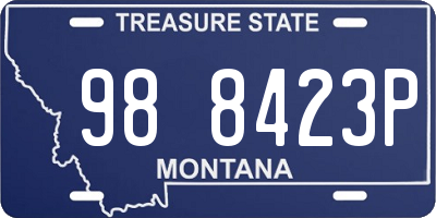 MT license plate 988423P