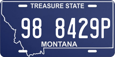 MT license plate 988429P