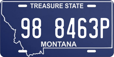 MT license plate 988463P