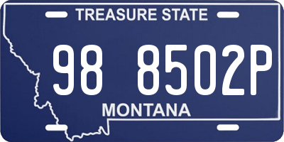 MT license plate 988502P