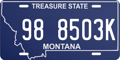 MT license plate 988503K