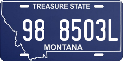 MT license plate 988503L