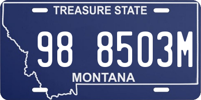 MT license plate 988503M