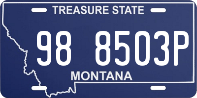 MT license plate 988503P