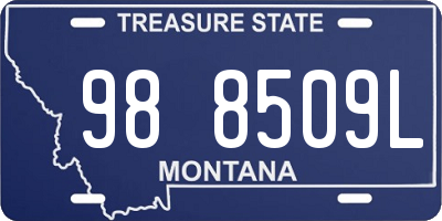 MT license plate 988509L