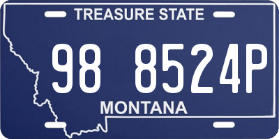 MT license plate 988524P