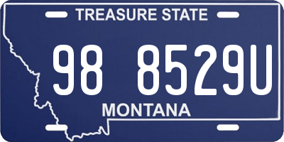 MT license plate 988529U