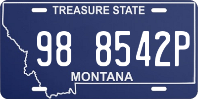 MT license plate 988542P