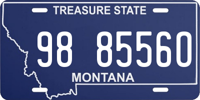MT license plate 988556O