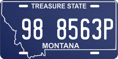 MT license plate 988563P