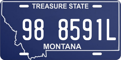 MT license plate 988591L