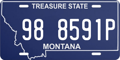 MT license plate 988591P