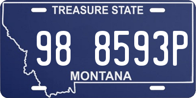MT license plate 988593P