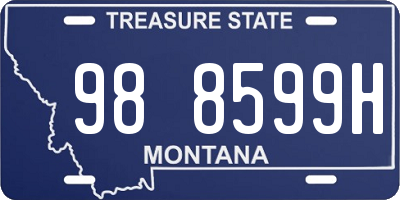 MT license plate 988599H