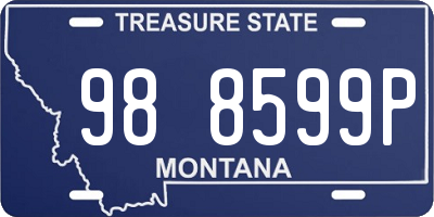 MT license plate 988599P