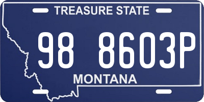 MT license plate 988603P