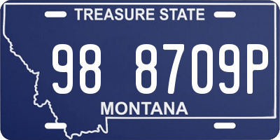 MT license plate 988709P