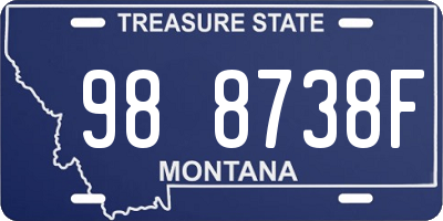 MT license plate 988738F